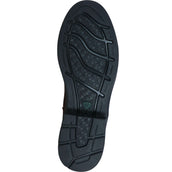 Ariat Botas para Exteriores Wythburn H2O Marron oscuro
