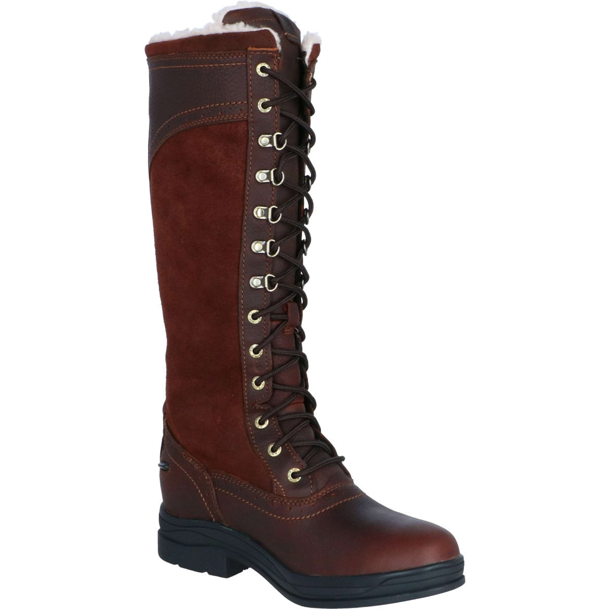 Ariat Botas para Exteriores Wythburn H2O Marron oscuro