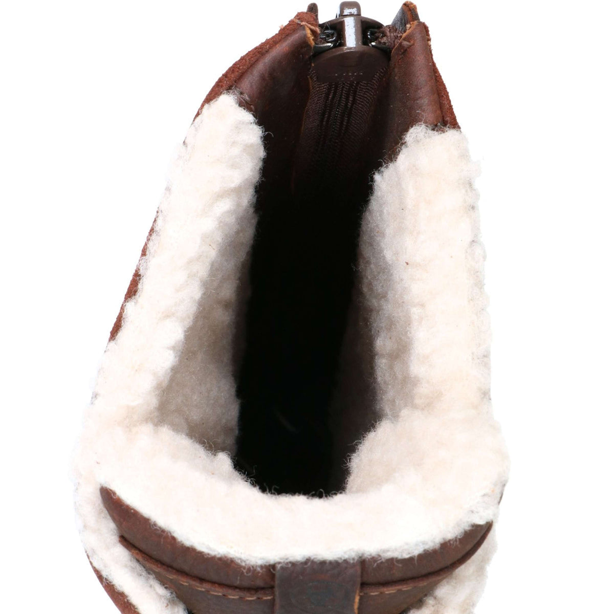 Ariat Botas para Exteriores Wythburn H2O Marron oscuro