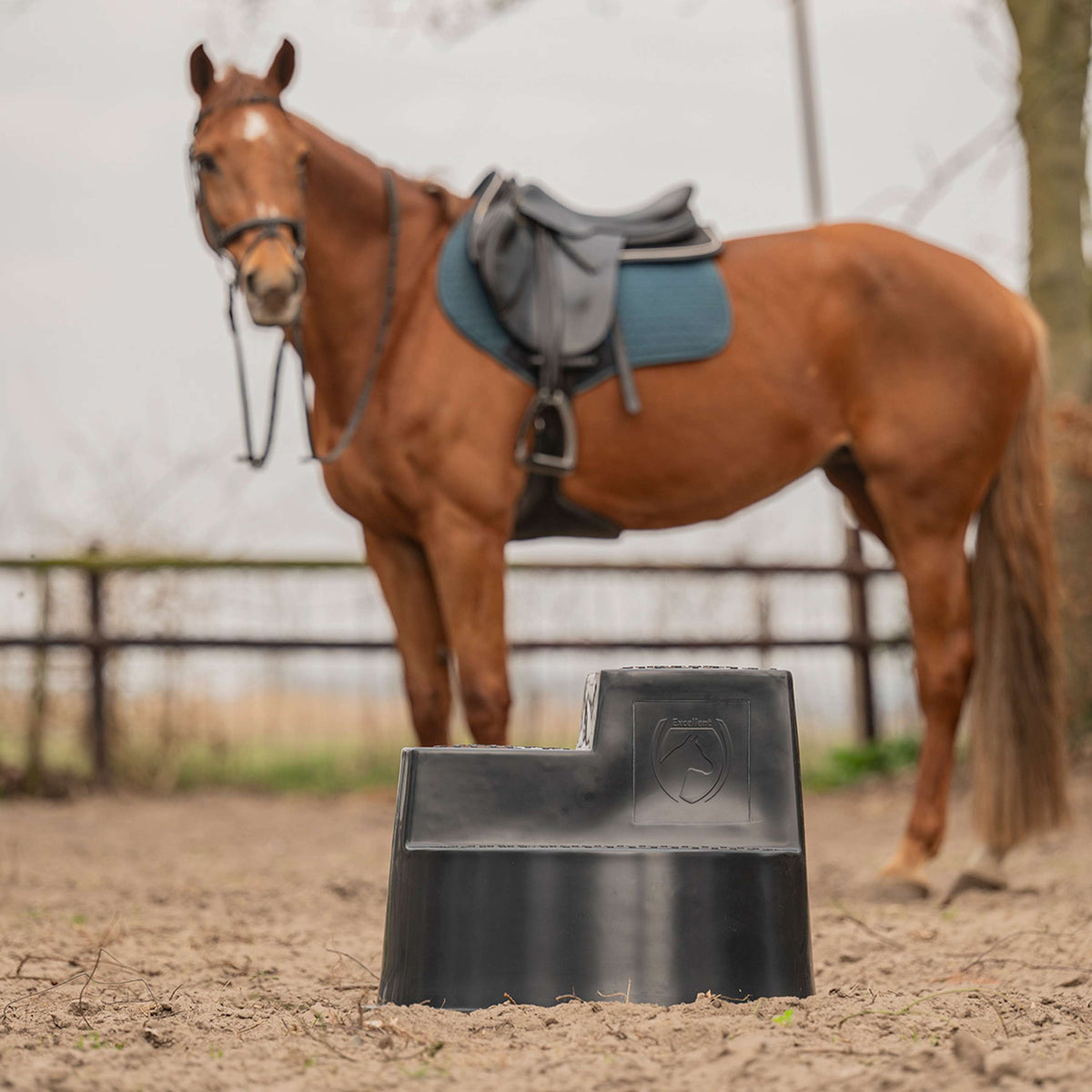 Excellent Escalón Negro