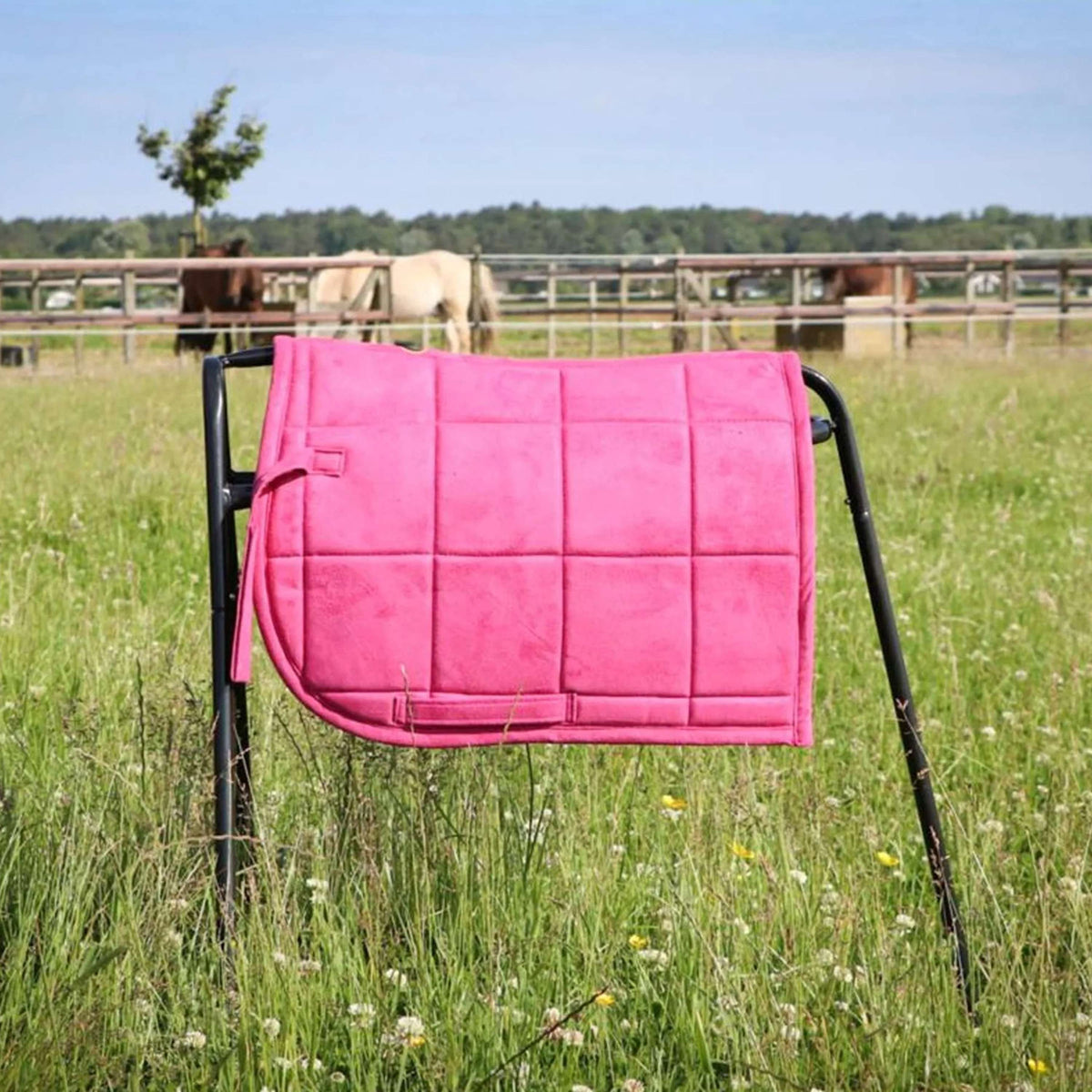 HB Mantilla Shetland Rosa