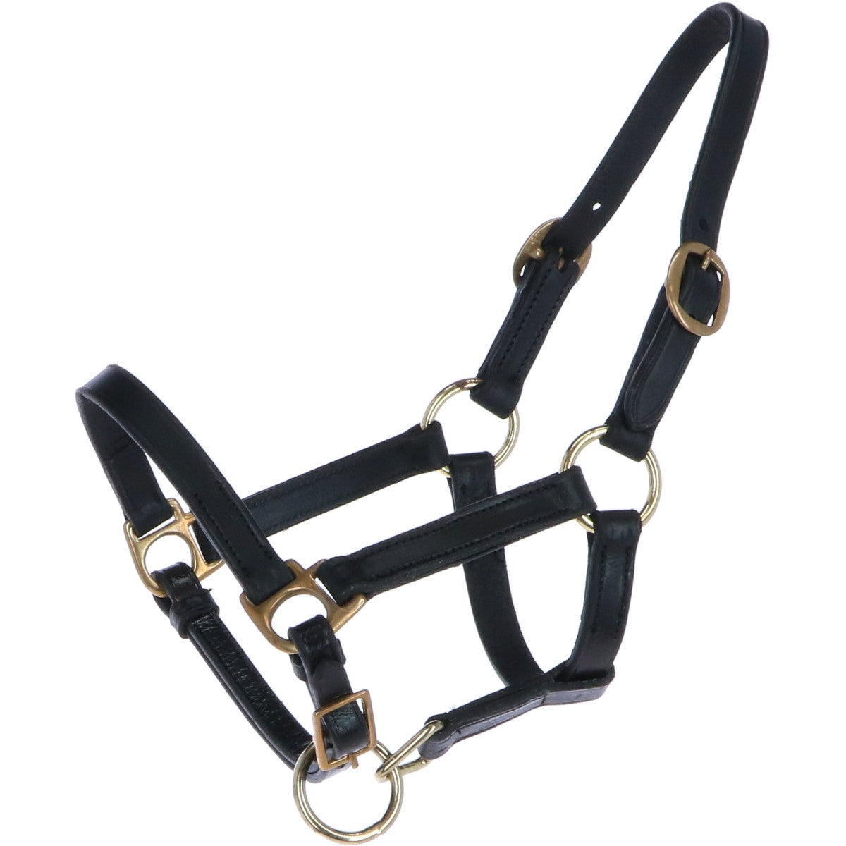 HB Ruitersport Cabestro para Potro Cuero Negro