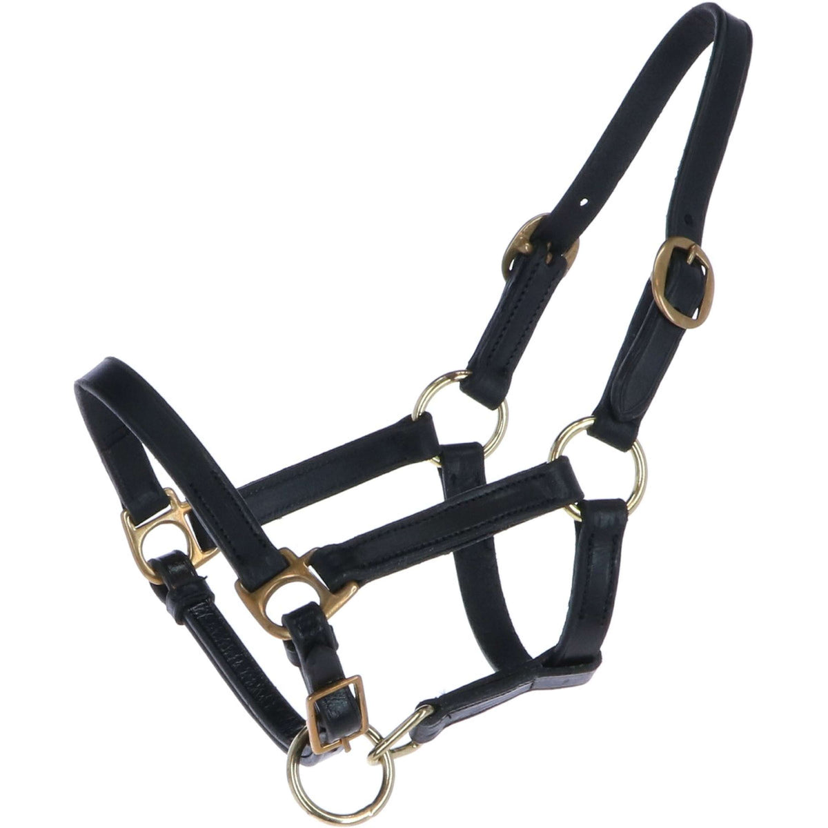 HB Ruitersport Cabestro para Potro Cuero Negro