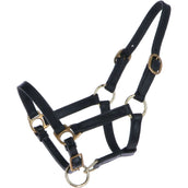 HB Ruitersport Cabestro para Potro Cuero Negro