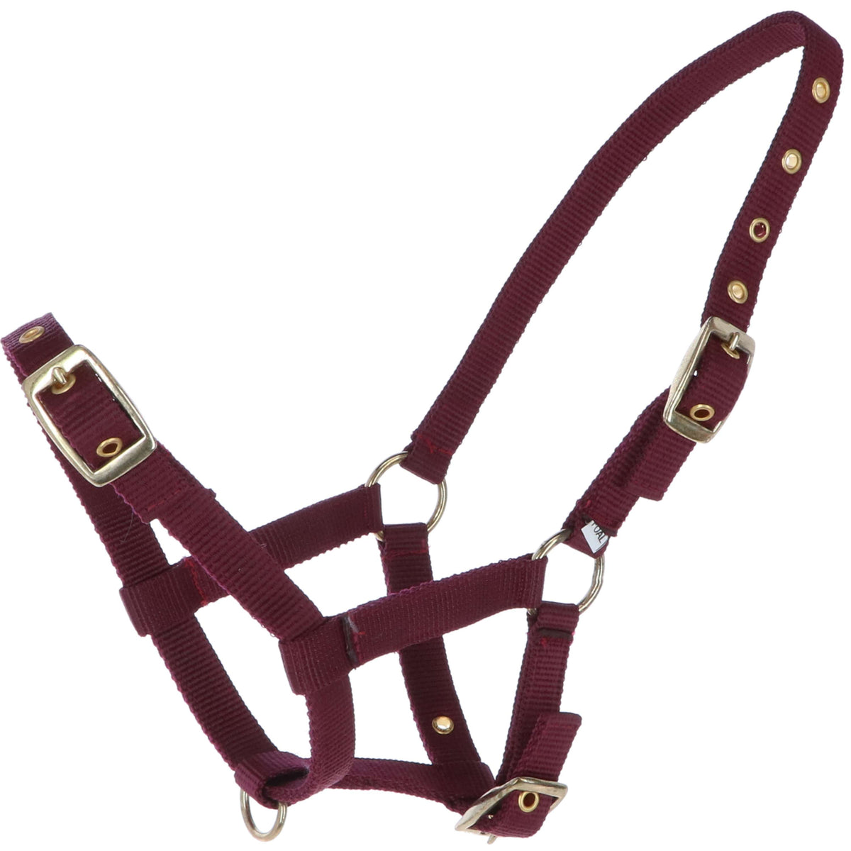 HB Ruitersport Cabestro para Potro Nylon Bordeaux