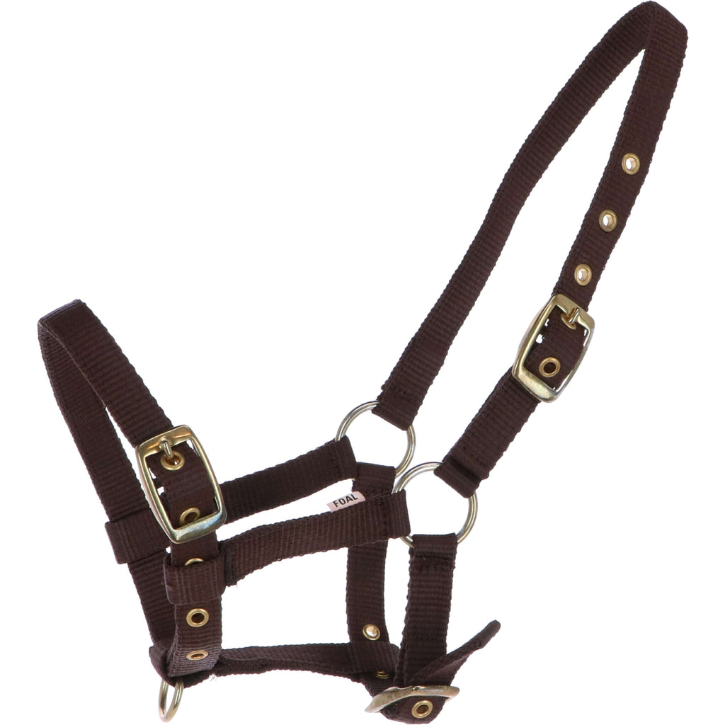 HB Cabestro para Potro Nylon Marron