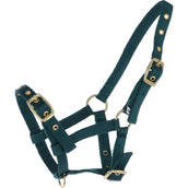 HB Ruitersport Cabestro para Potro Nylon Verde