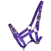 HB Ruitersport Cabestro para Potro Nylon Morado
