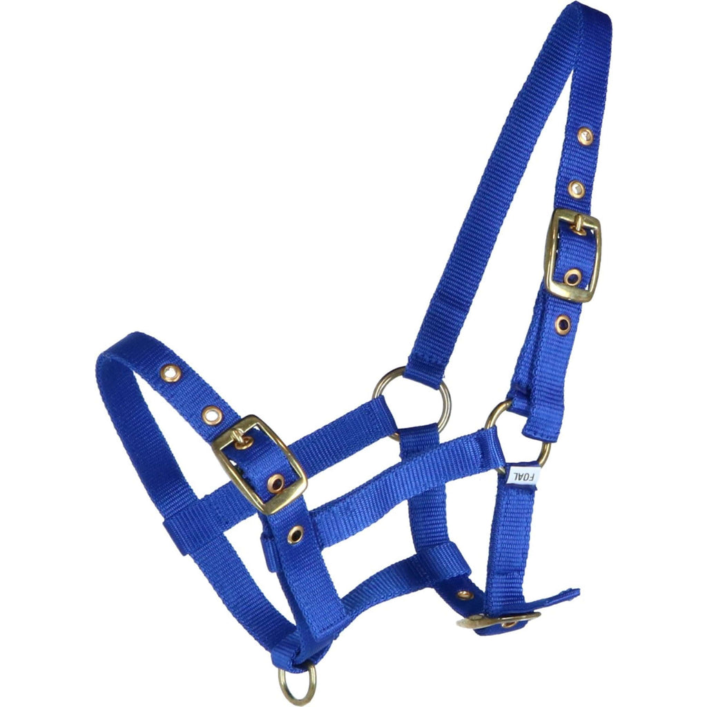 HB Cabestro para Potro Nylon Royal Blue