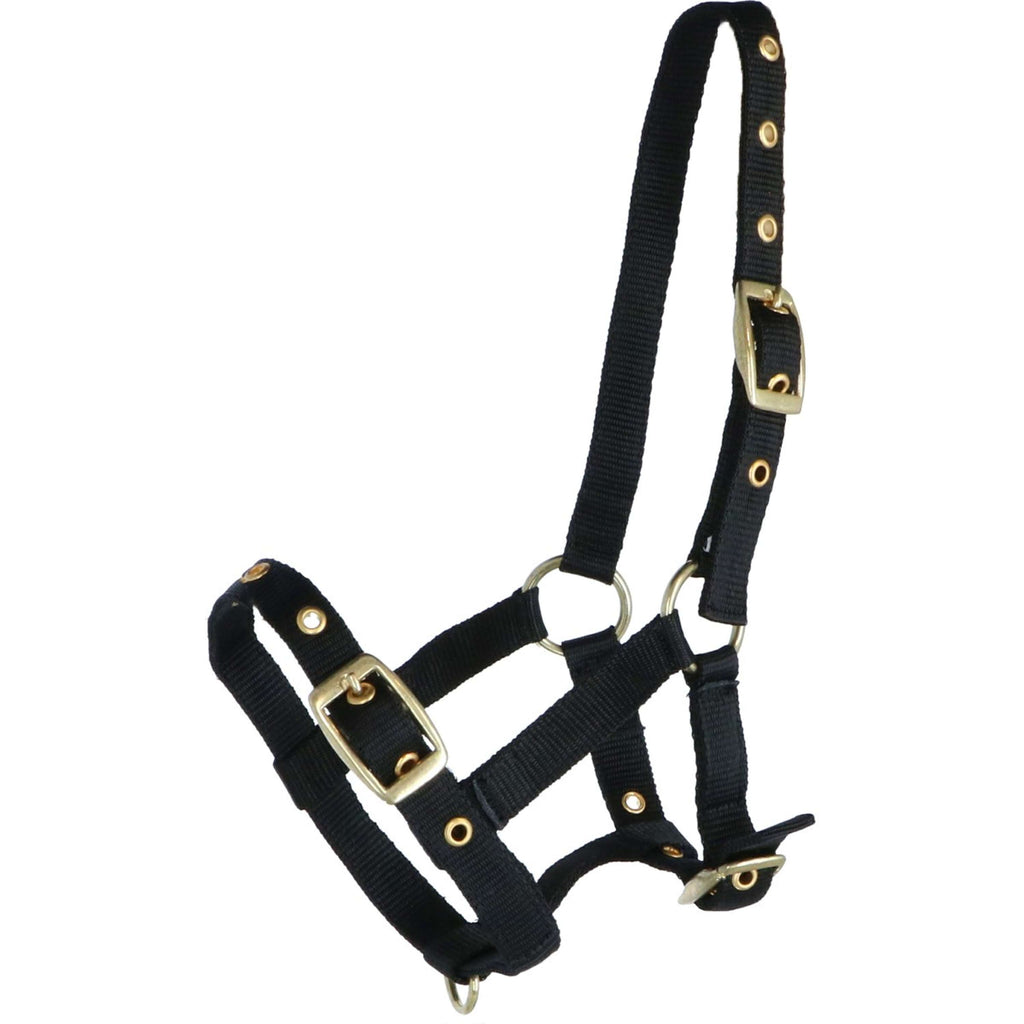 HB Cabestro para Potro Nylon Negro