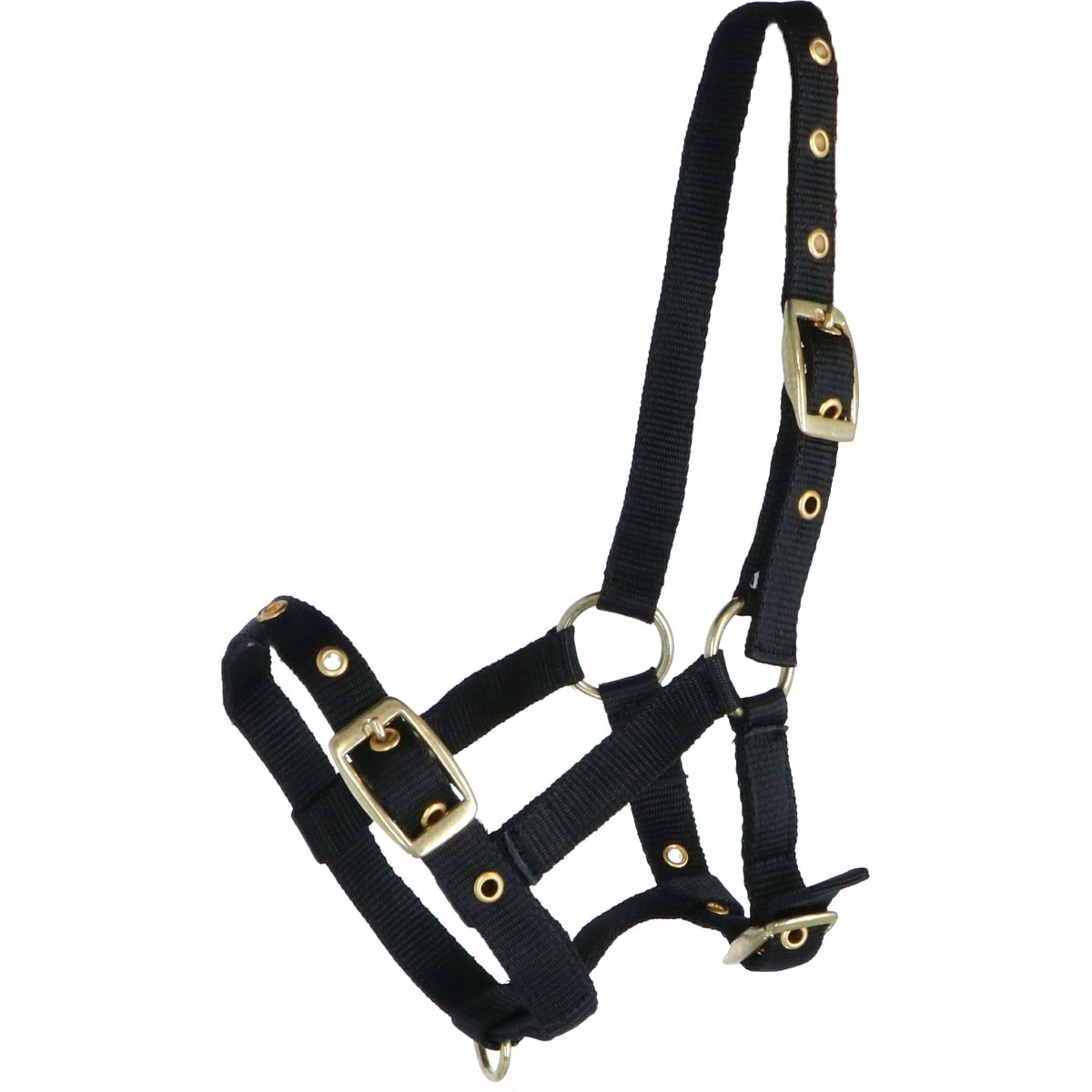 HB Cabestro para Potro Nylon Negro HB Cabestro para Potro Nylon Negro