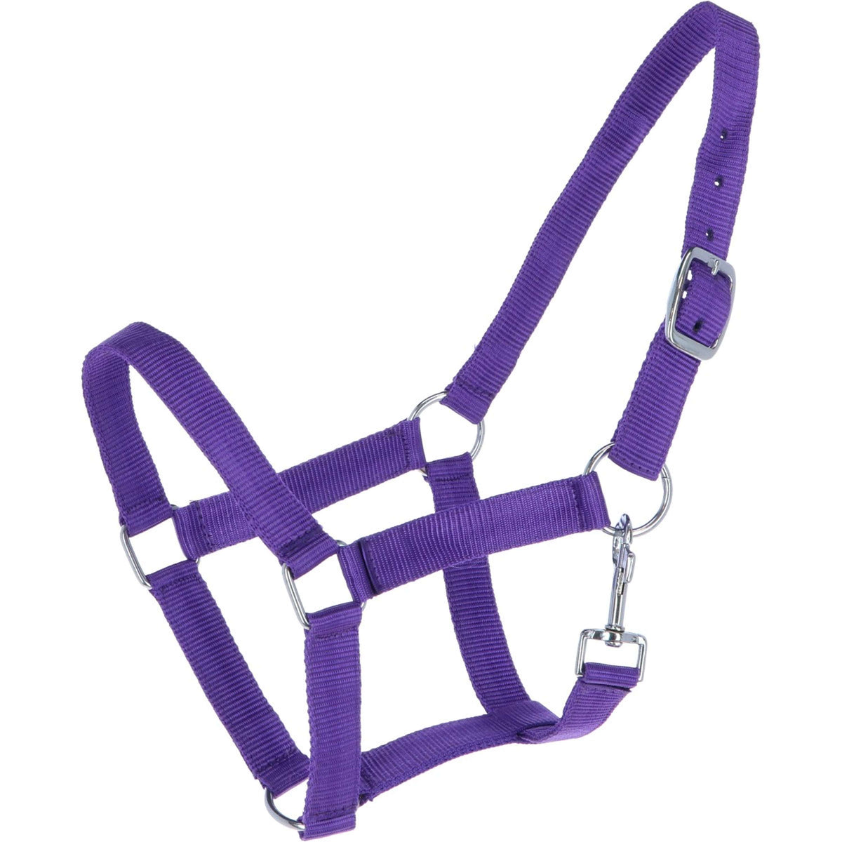 HB Ruitersport Cabezada Nylon Morado