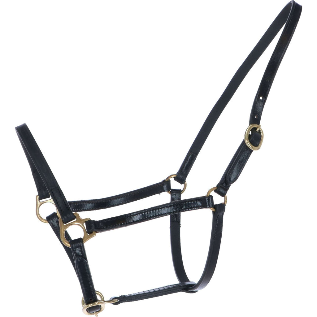 HB Cabestro Big Foal Cuero Negro
