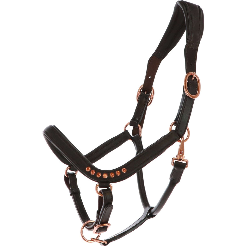 HB Cabestro Anatomic Marron
