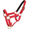 Norton Cabestro Nylon con Forro de Cuero Rojo