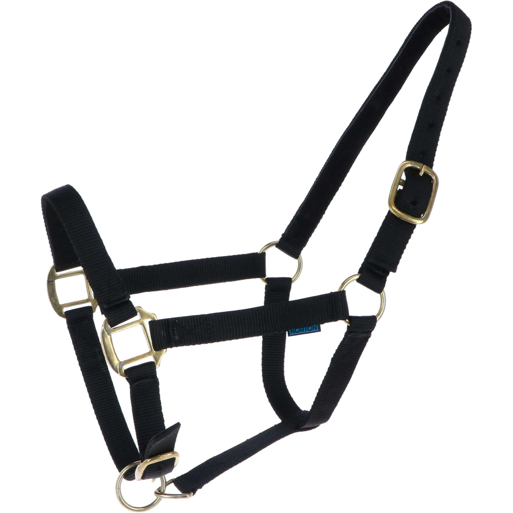 Norton Cabestro Nylon con Forro de Cuero Negro