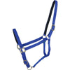 Norton Cabestro Nylon con Forro de Cuero Royal Blue