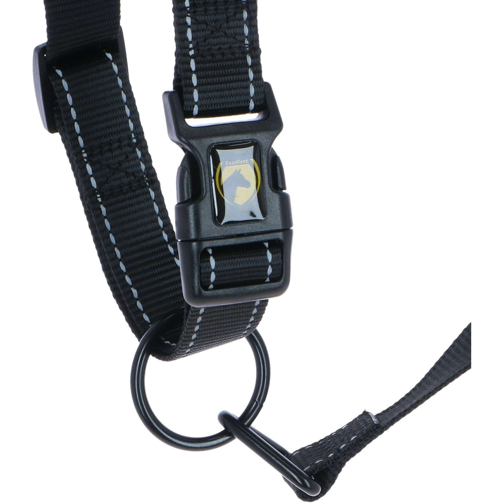 Excellent Cabestro Superior Negro