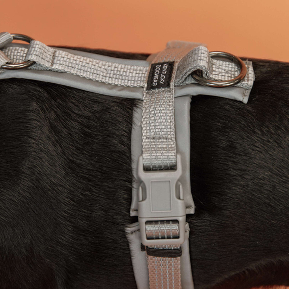 Kentucky Dogwear Arnés Active Reflective Gris