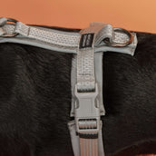 Kentucky Dogwear Arnés Active Reflective Gris