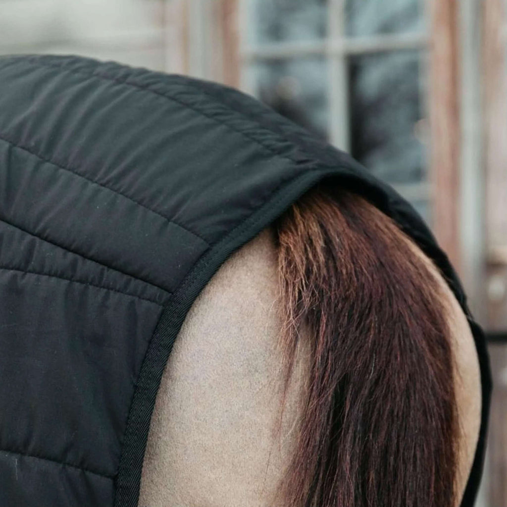 Kentucky Bajoalfombra Skin Friendly 300g Negro