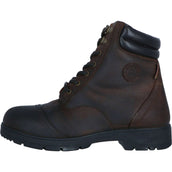 Mountain Horse Botas de Establo Wild River Lace Paddock Marron