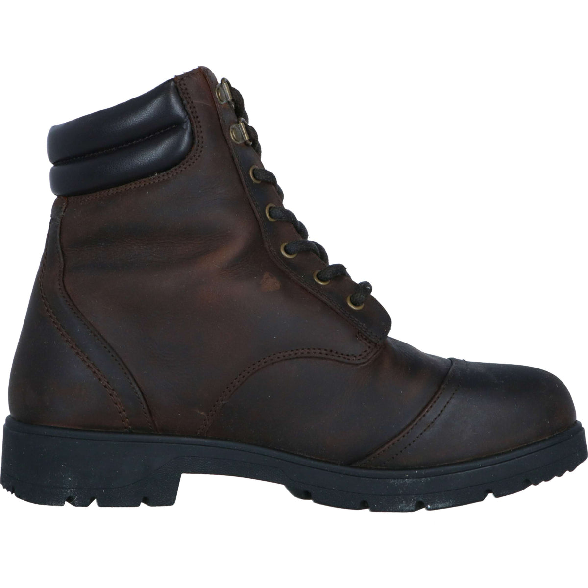 Mountain Horse Botas de Establo Wild River Lace Paddock Marron