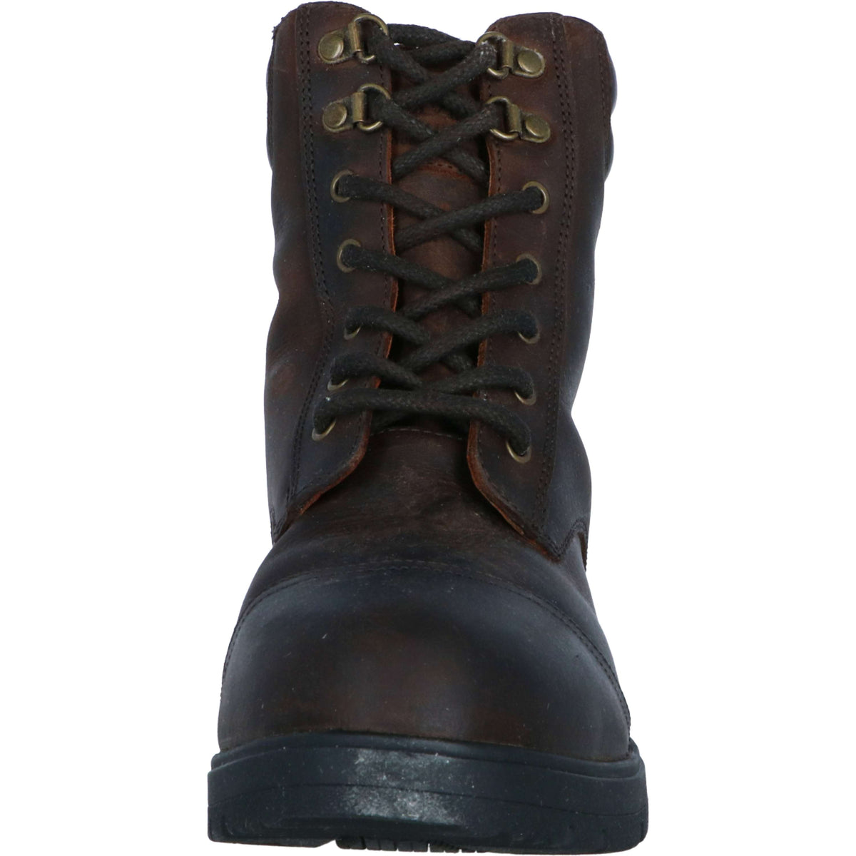 Mountain Horse Botas de Establo Wild River Lace Paddock Marron