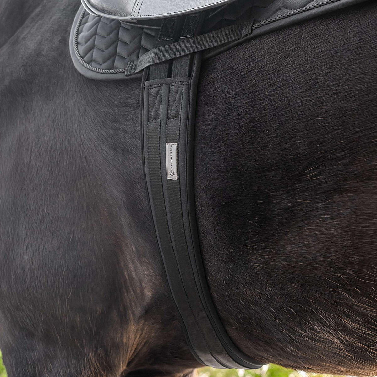 Waldhausen Cincha con Gel Negro