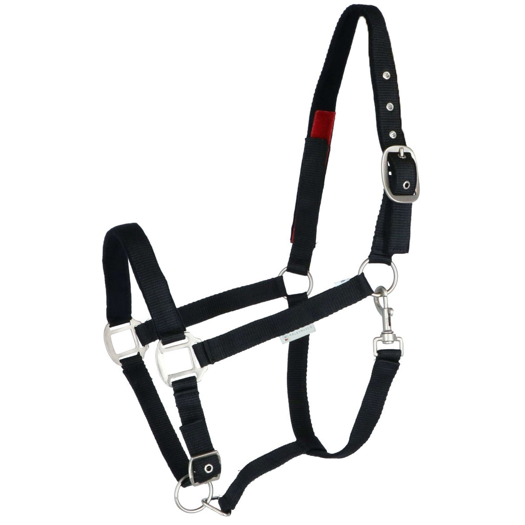 Waldhausen Cabestro de Seguridad Negro