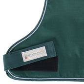 Waldhausen Impermeable para Perros Fir Green