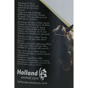 Excellent Spray de Purpurina Hi Gloss Plata