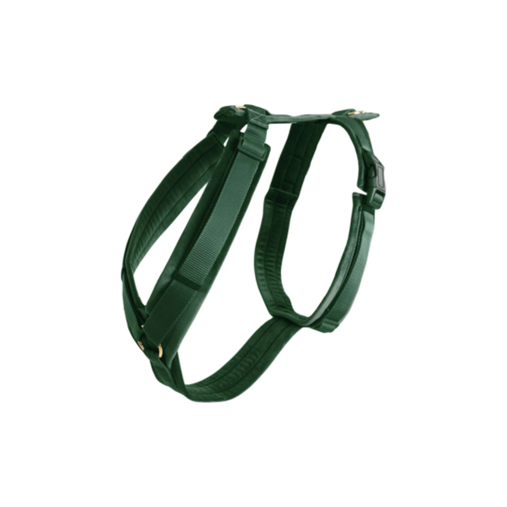 Kentucky Dogwear Arnés Active Velvet Pine Green