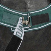 Waldhausen Manta de molino 100g Verde abeto