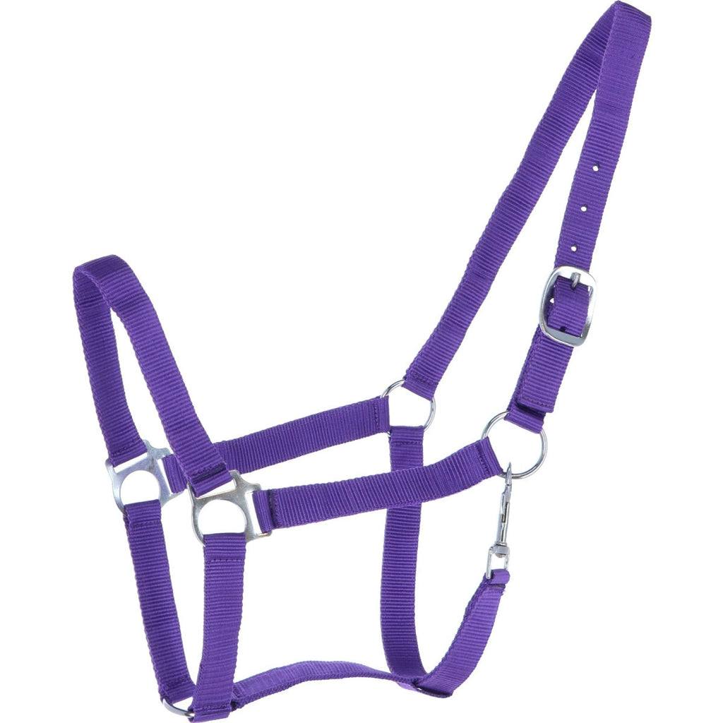 HKM Cabestro Brisbane Lilac