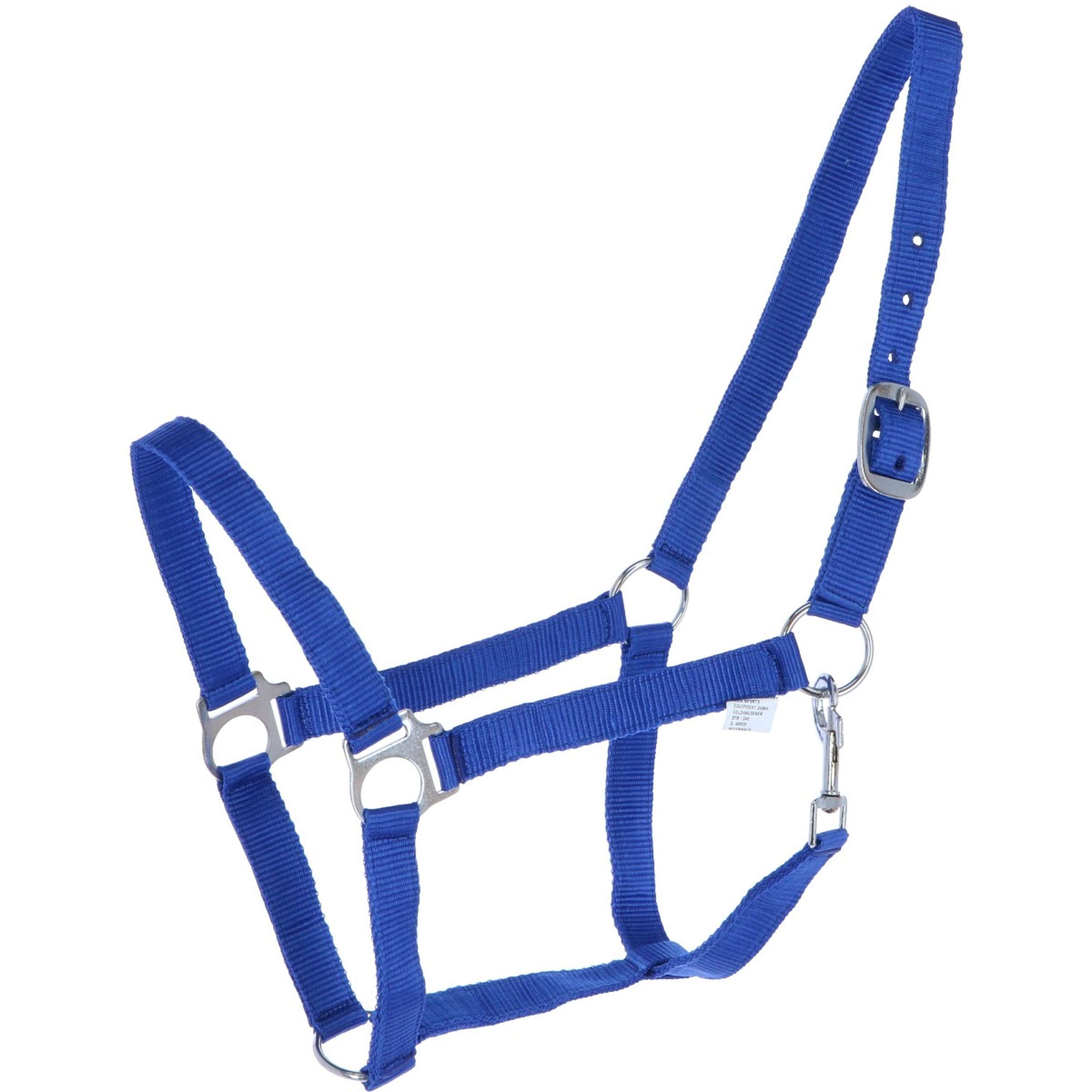 HKM Cabezada Brisbane Royal Blue HKM Cabezada Brisbane Royal Blue