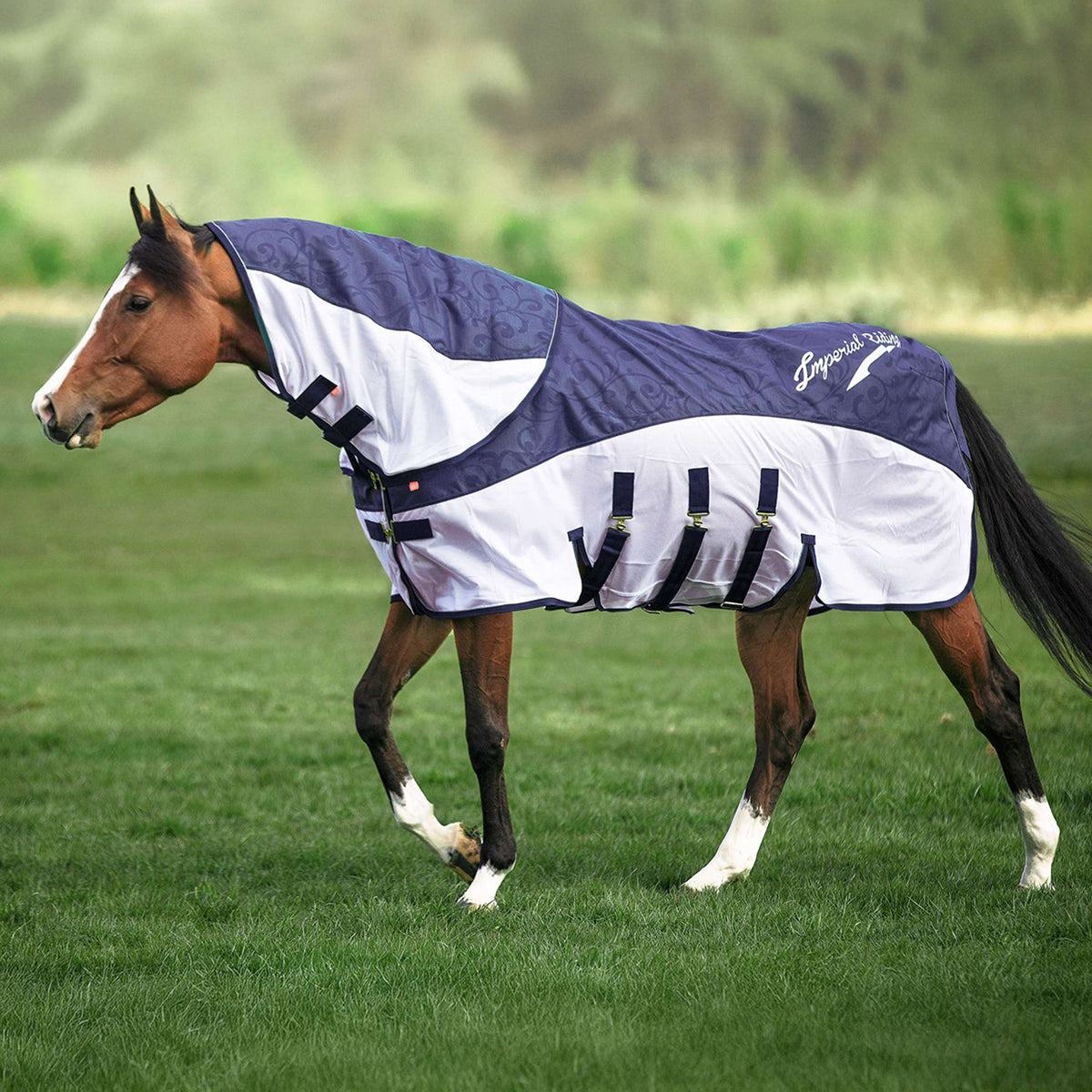 Imperial Riding Mosca y Manta de Iluvia IRHSuper-Dry Marino