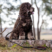 LeMieux Correa para Perro Windsor Padded Marron<>Verde
