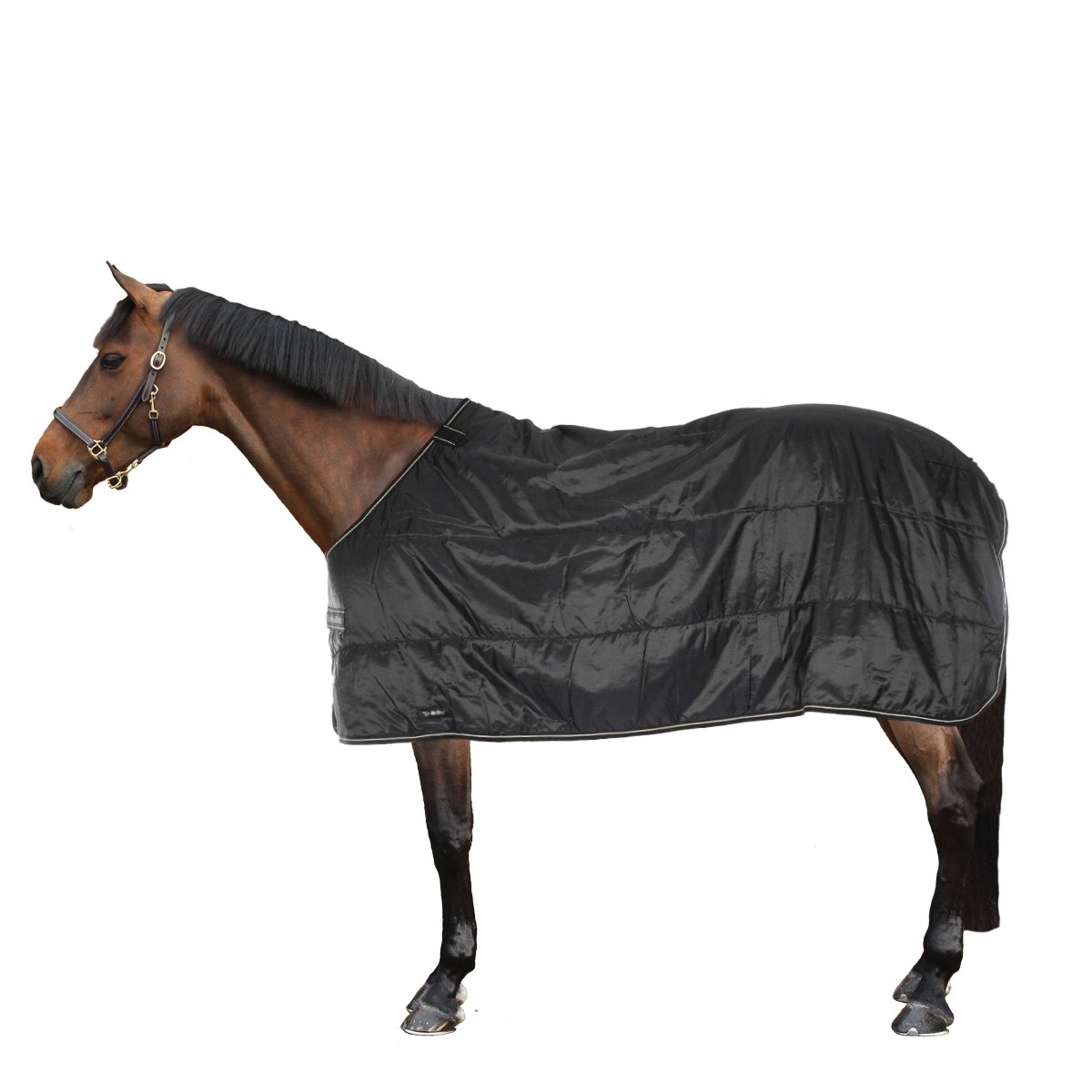 Back on Track Bajoalfombra Rhyolite Insulated Liner 200g Negro