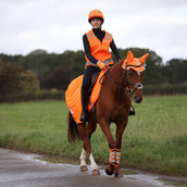 Equi-Flector by Shires Manta de ejercicio Mesh Reflectante Naranja