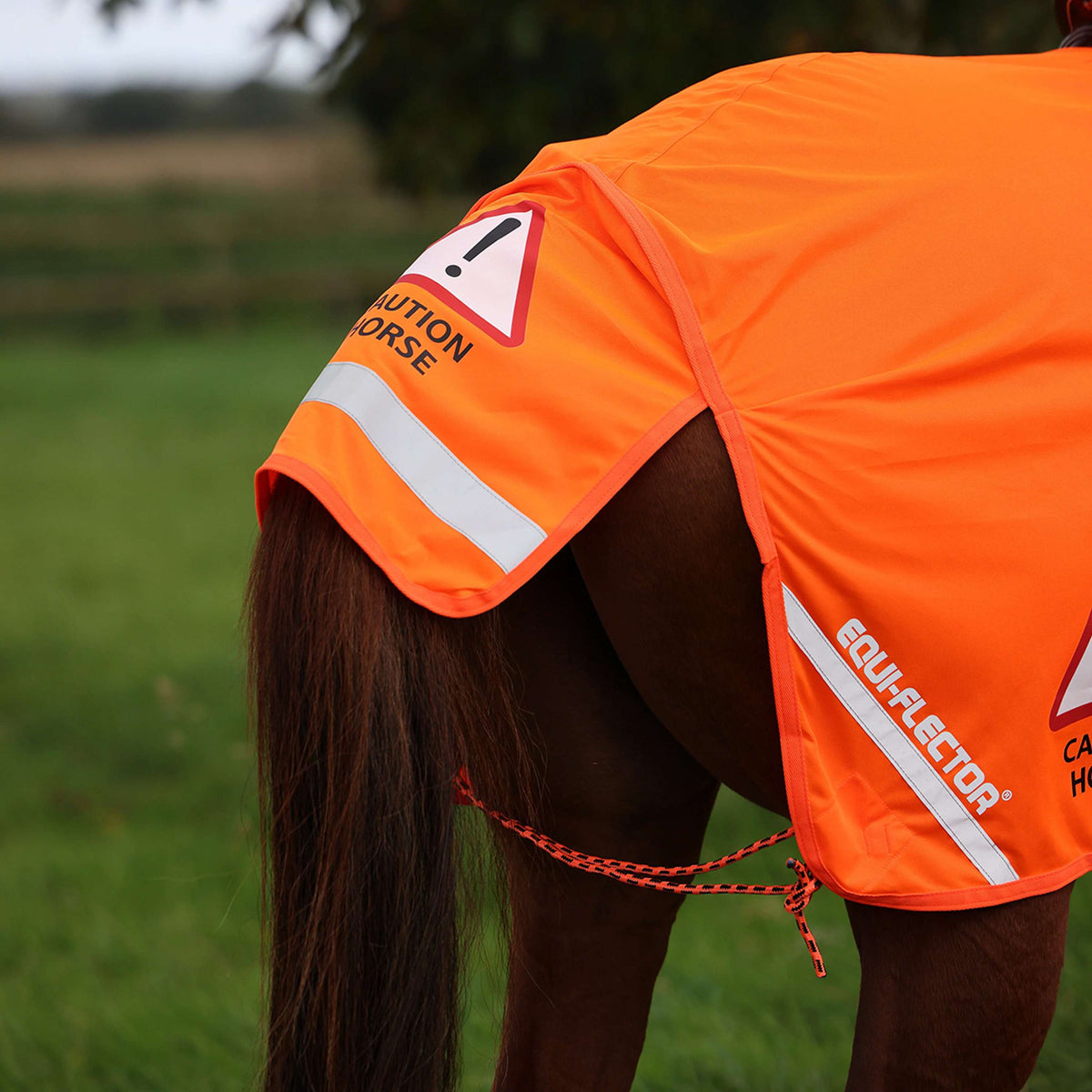 Equi-Flector by Shires Manta de ejercicio Mesh Reflectante Naranja