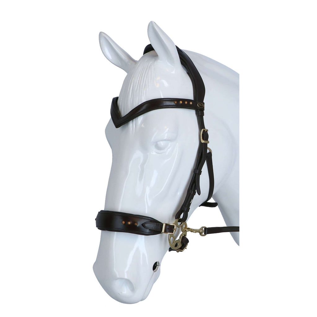 F.R.A. Brida Glory Marron
