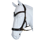 F.R.A. Brida Glory Marron