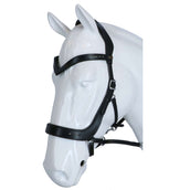 F.R.A. Brida Glory Negro