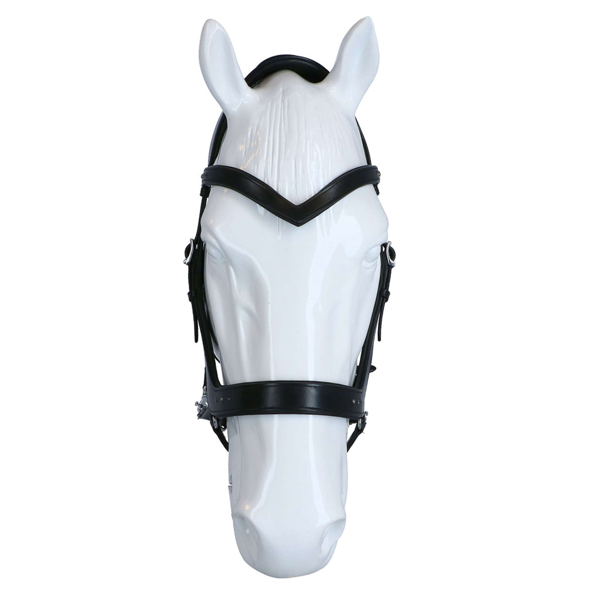 F.R.A. Brida Glory Negro