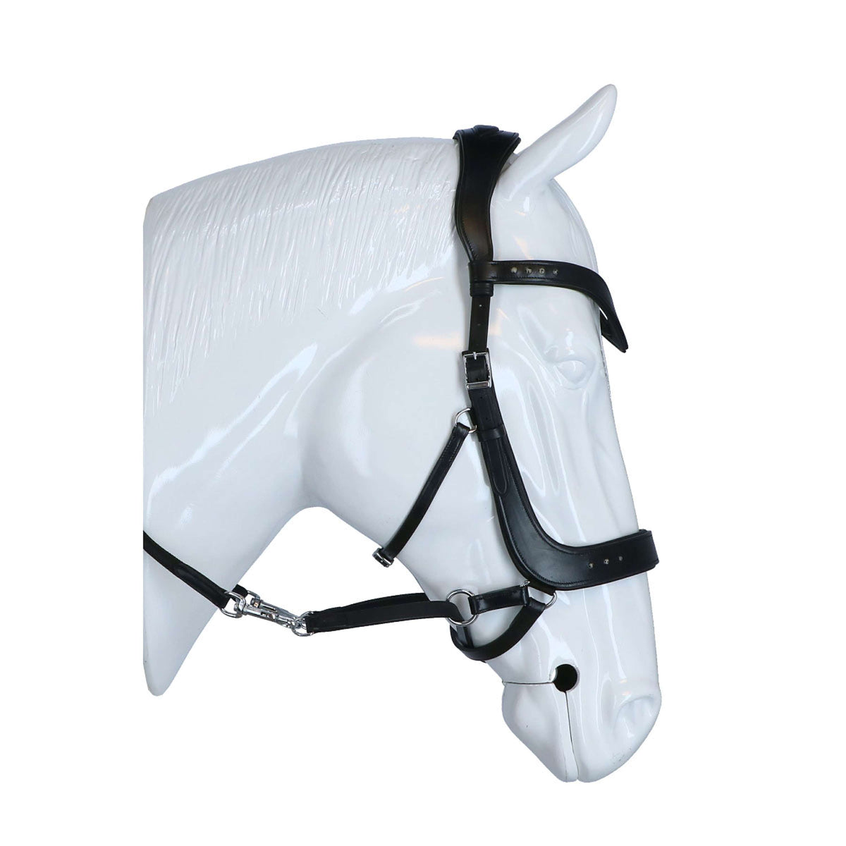 F.R.A. Brida Glory Negro