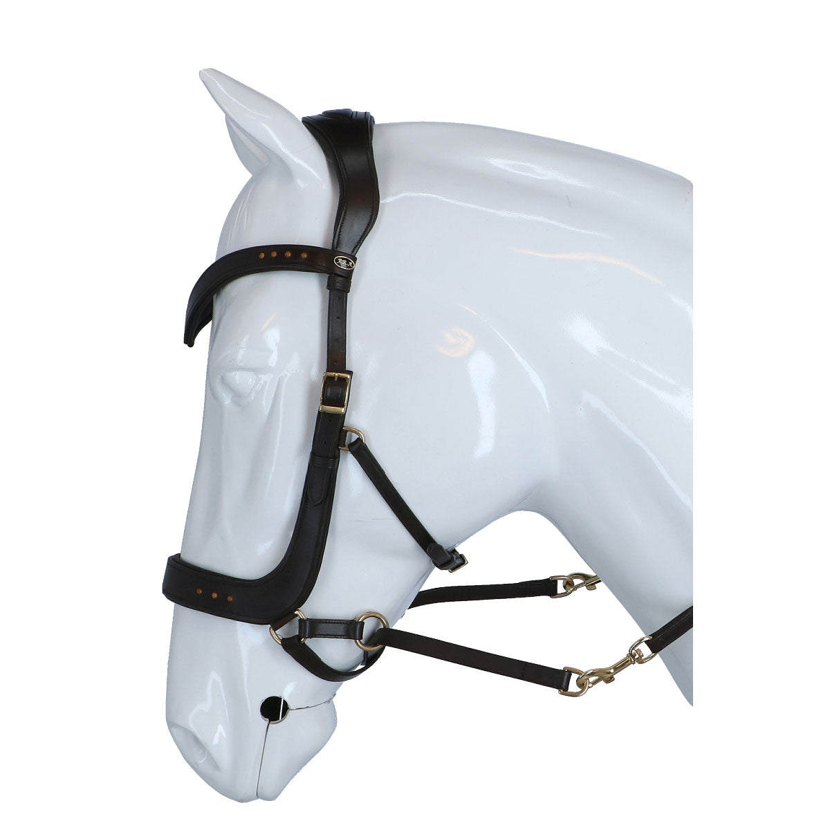 F.R.A. Brida Glory Marron