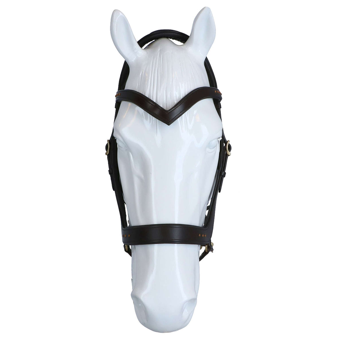 F.R.A. Brida Glory Marron