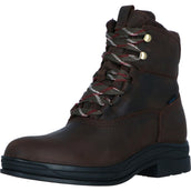 Ariat Botas de Establo Harper Waterproof Mujer Chocolat/Willow