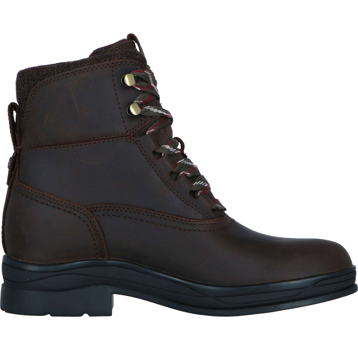 Ariat Botas de Establo Harper Waterproof Mujer Chocolat/Willow